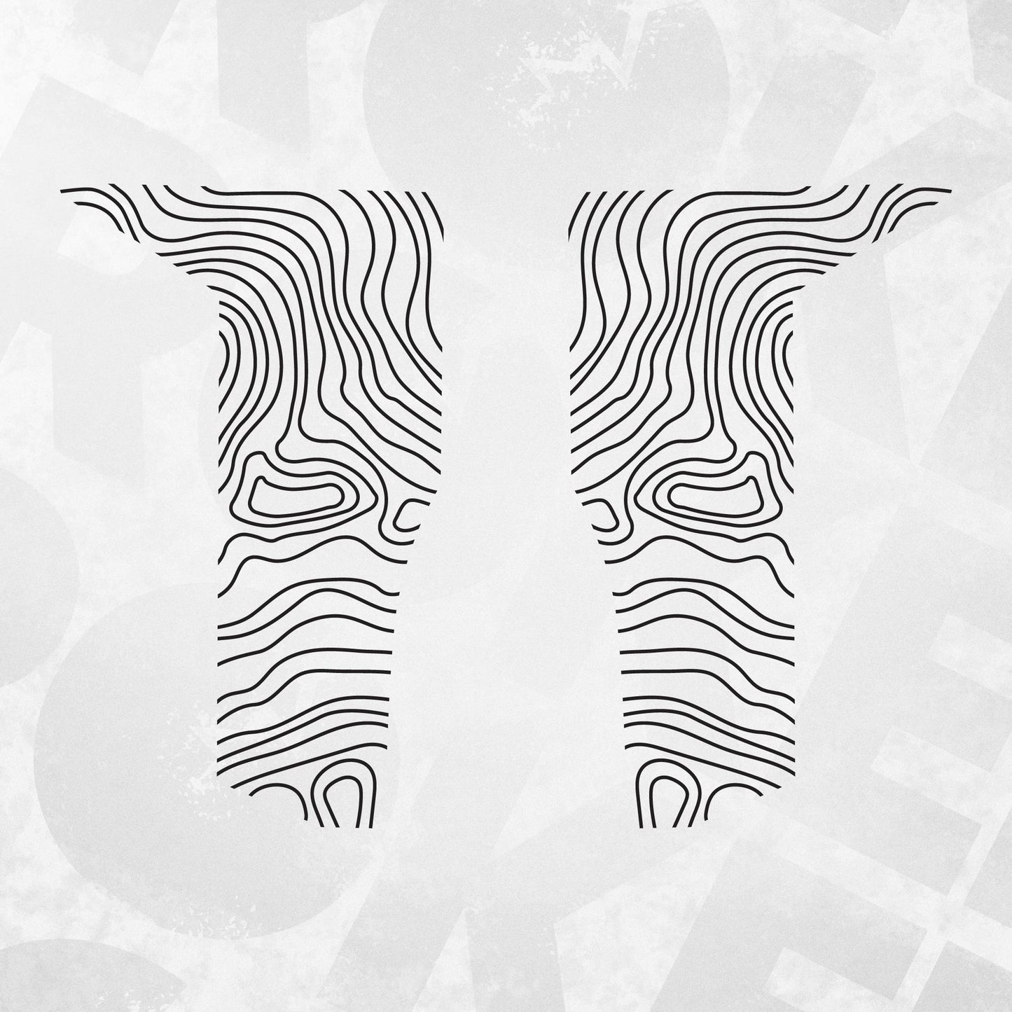 Topographic Door Trim Vinyl Decal Set | Fits Dacia Bigster | Left and Right