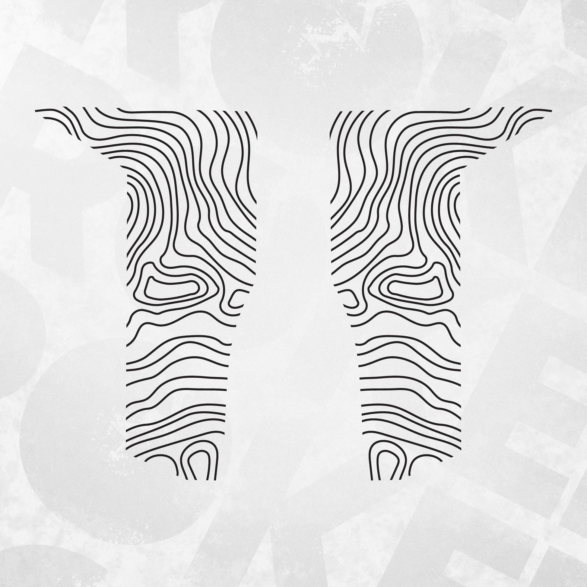 Topographic Door Trim Vinyl Decal Set | Fits Dacia Bigster | Left and Right